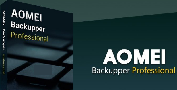 instaling AOMEI Backupper Professional 7.3.2