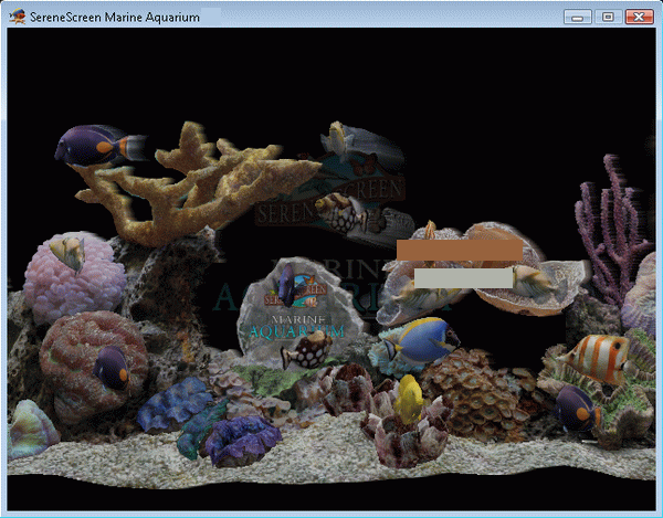 virtual aquarium 3